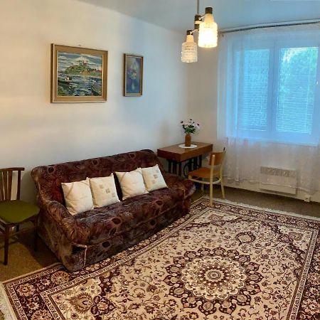 Cely Byt Zelnava Apartment Екстериор снимка