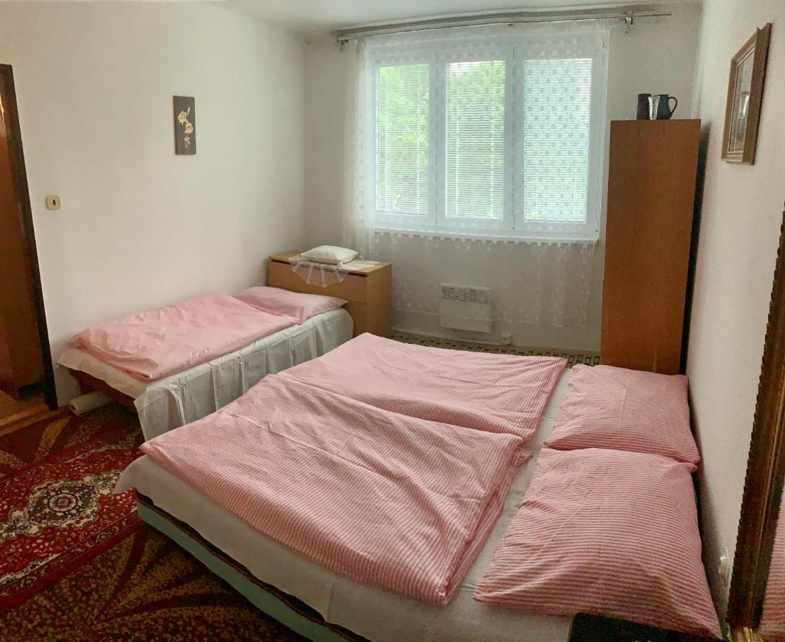 Cely Byt Zelnava Apartment Екстериор снимка