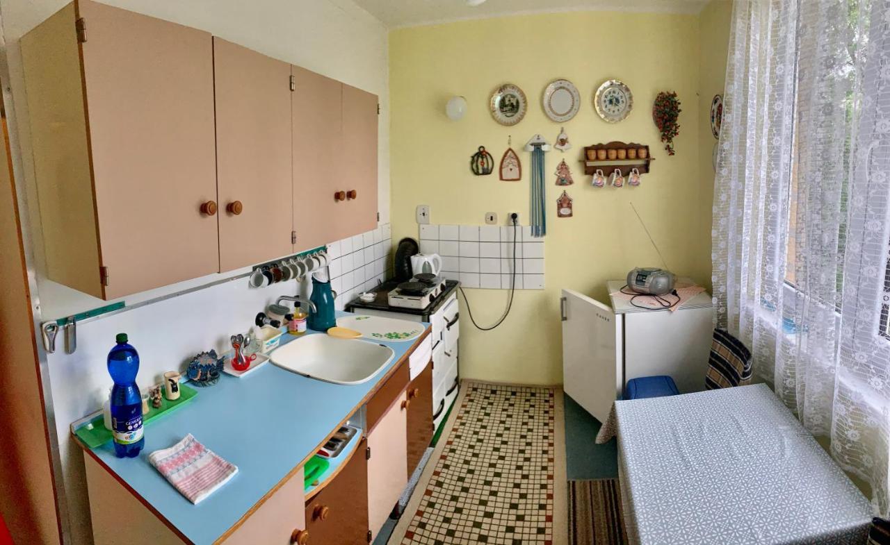 Cely Byt Zelnava Apartment Екстериор снимка
