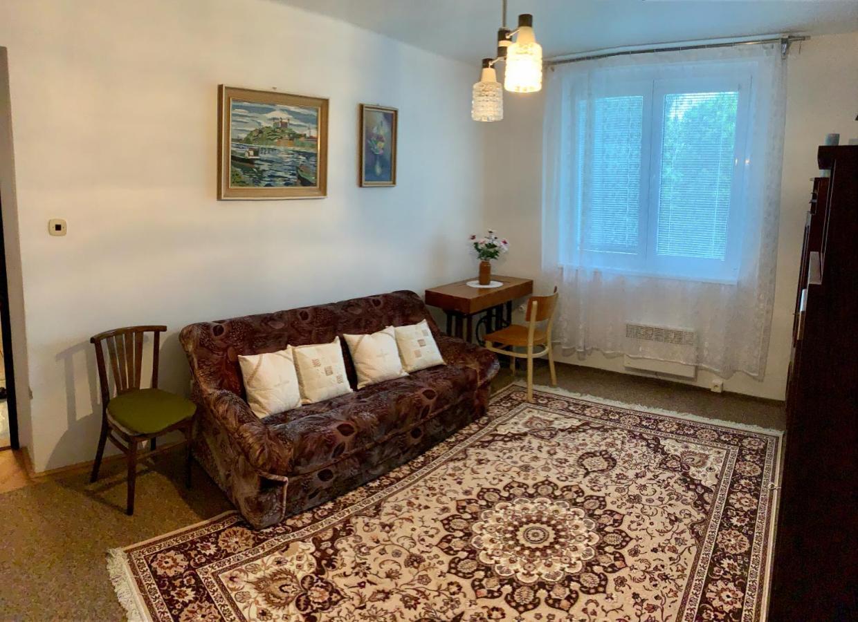 Cely Byt Zelnava Apartment Екстериор снимка